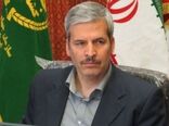 میانگین آمار تلفات زنبورها بین 10 تا 15 درصد است