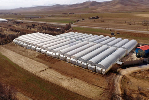 سرمایه‌گذاری دو همت برای توسعه گلخانه‌های چهارمحال و بختیاری