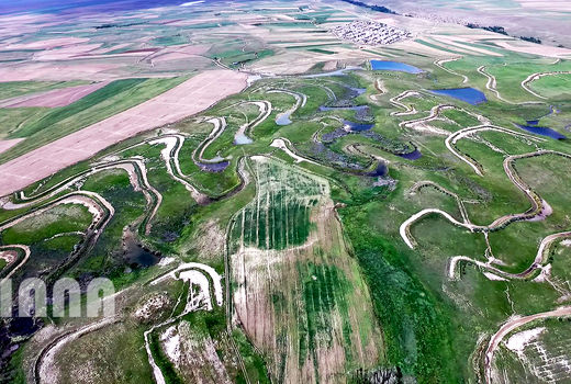 عکس روز:آبیاری قطره‌ای