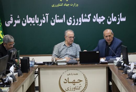 خرید گندم در استان آذربایجان شرقی از مرز ۲۴۲  هزار تن گذشت