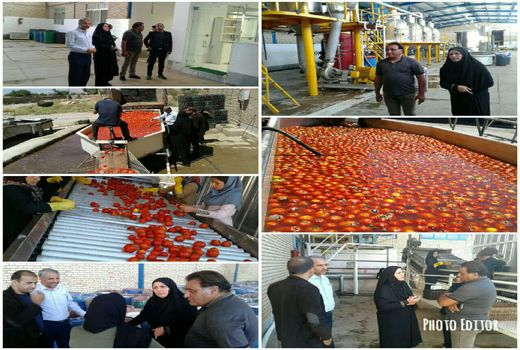 رونق کارخانه رب اسفراین معطل چراغ سبز بانک کشاورزی