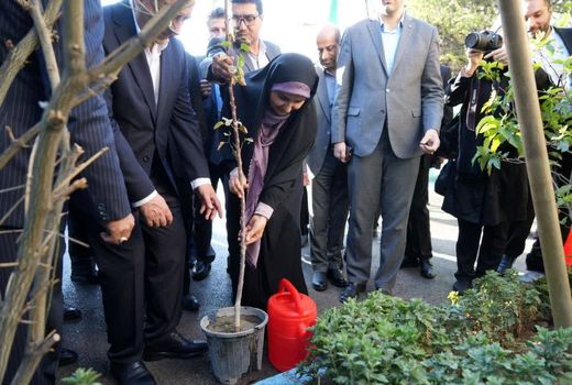 وزیر راه و شهرسازی در تبریز نهالی به یاد شهدای جنگ دوازده‌روزه غرس کرد