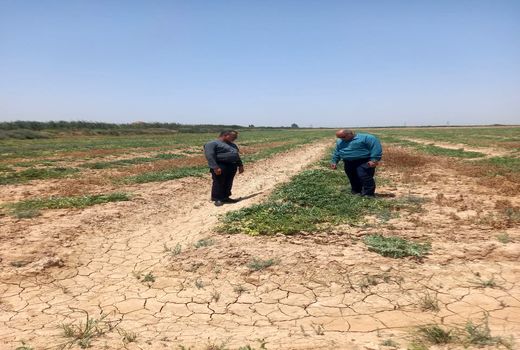 افزایش بهره‌وری تولید محصولات تابستانه در کارون