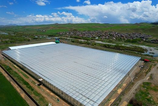 بهره برداری از گلخانه شیشه‌ای 5 هکتاری در استان کردستان با حمایت بانک کشاورزی