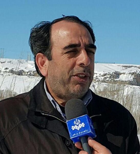افزایش 100 درصدی تولید محصول کلزا در اردبیل