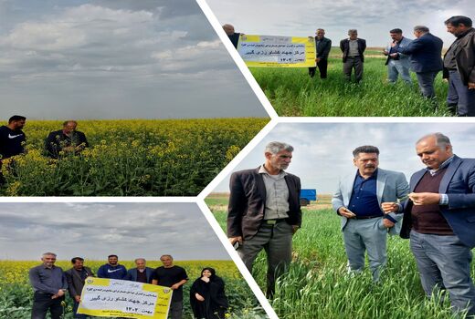 شناسایی و کنترل بیماری‌ها و علف‌های هرز در مزارع اهواز