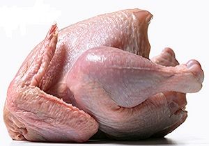 آمادگی برای صادرات مرغ به قطر