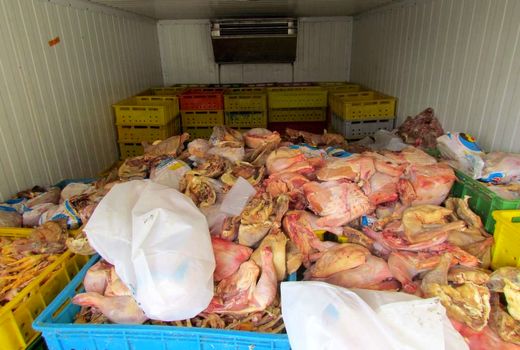 کشف و ضبط پنج تن فرآورده خام دامی ناسالم در ایام نوروز در استان کرمان