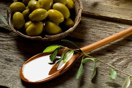 توسعه تولید فرآورده‌های زیتون در کشت و صنعت مغان
