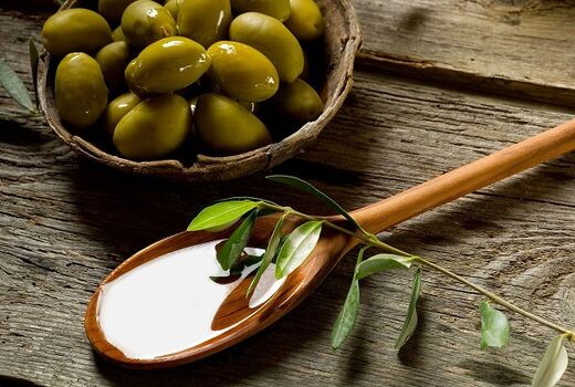 توسعه تولید فرآورده‌های زیتون در کشت و صنعت مغان

