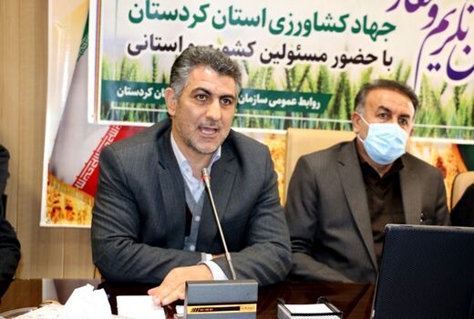 دولت سیزدهم به دنبال اقتدار غذایی است