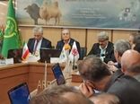 دامپروری هوشمند متناسب با اقلیم، مسیر تقویت تاب‌آوری و امنیت غذایی جهان اسلام است
