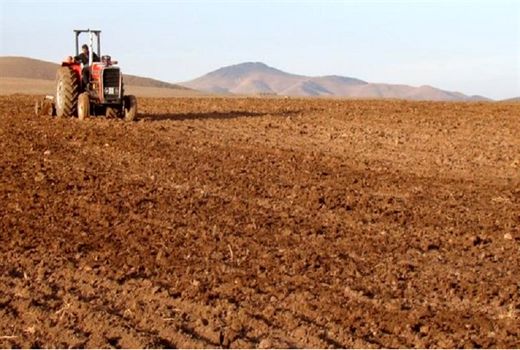 پایان کشت محصولات پاییزی در شهرستان کیار 