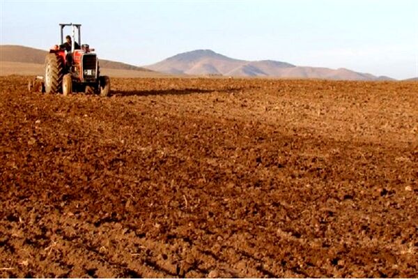 پایان کشت محصولات پاییزی در شهرستان کیار 