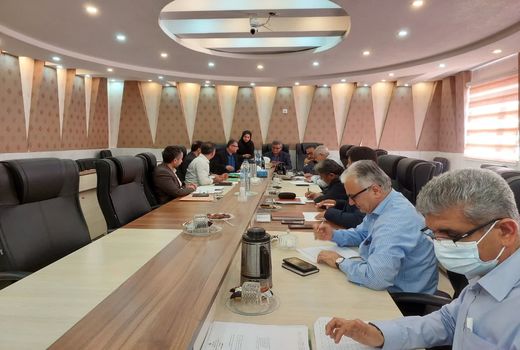 تشکیل کمیسیون نظارت بر طرح‌های کشاورزی و دامپروری در بوشهر 