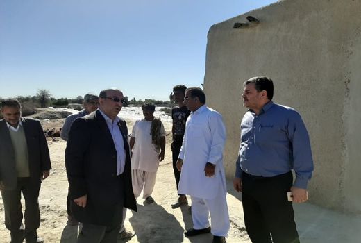 بیش از 1 میلیون رأس دام در سیستان و بلوچستان درگیر سیل هستند