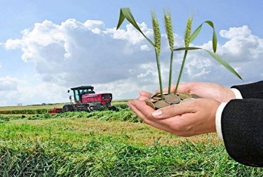 پرداخت دو هزار و 600 میلیارد تومان غرامت در زیر بخش بیمه محصولات زراعت طی سال گذشته