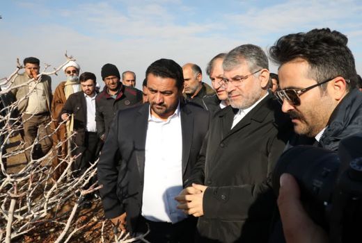 درصدد استمهال وام «دامدار کارت» هستیم