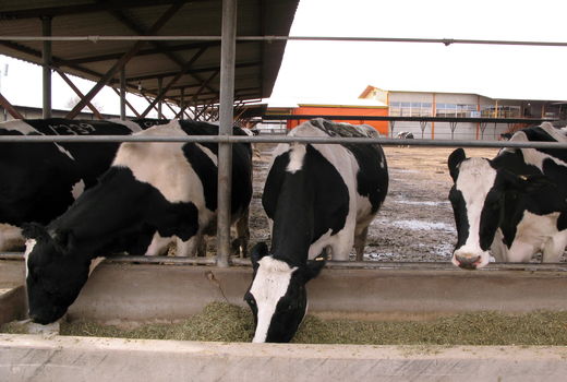 عدم ثبت کالا در سامانه جامع انبارها، احتکار تلقی‌ می‌شود