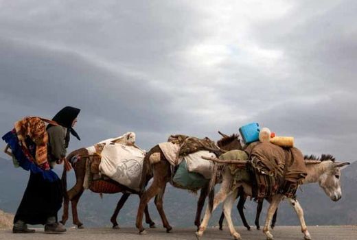 احتمال شروع کوچ زودهنگام عشایر به دلیل بارندگی‌ها 