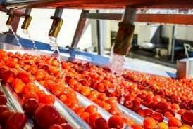 جذب سرمایه گذار صنایع کشاورزی در خوزستان