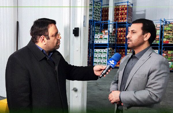 آغاز عرضه خرما با نرخ مصوب برای تنظیم بازار در ماه مبارک رمضان