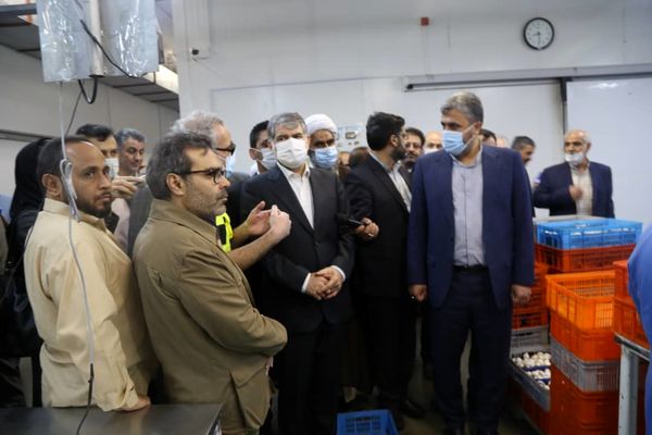 رفع عوارض صادراتی برخی از محصولات دامی