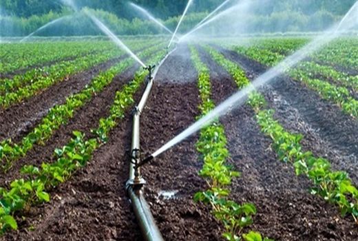 ۱۸ هزار هکتار تا تکمیل سامانه گرمسیری باقی مانده است