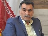 توسعه سطح زیر کشت زعفران در خراسان جنوبی
