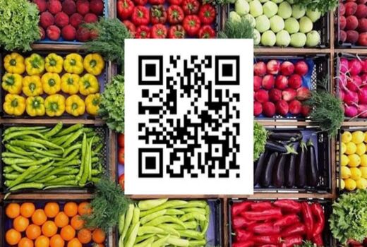 الزام ثبت‌نام محصولات زراعی و گلخانه‌ای آذربایجان غربی برای دریافت کد QR در سامانه سماک 
