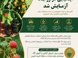 آزمایش 18 رقم تمشک ایتالیایی ،گامی موثر در تنوع سبدمحصولات باغی و افزایش درآمدکشاورزان الموت