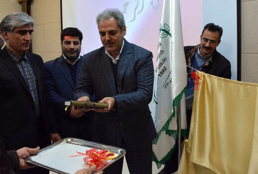 ارقام جدید غلات در موسسه تحقیقات کشاورزی دیم کشور رونمایی شد