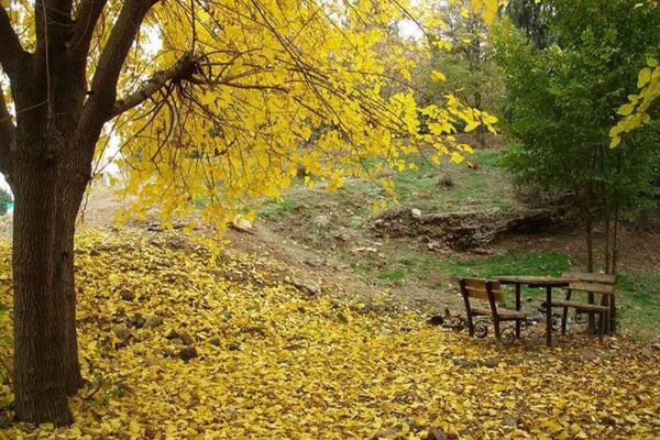 8 هکتار از بوستان جنگلی سرخه حصار دارای سند مالکیت تک برگ شد