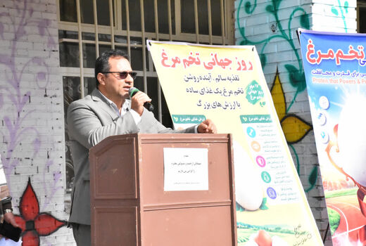 تولید سالانه ۱۱۴ هزار تن تخم‌مرغ در آذربایجان شرقی