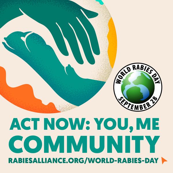 همین حالا اقدام کنید/ جهان بر علیه هاری