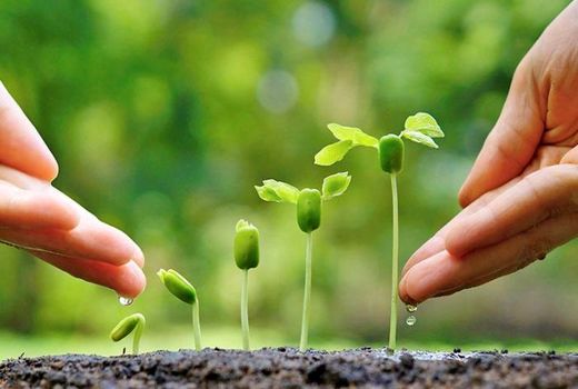  برنامه ریزی‌ها و تصمیمات ما باید در جهت صیانت محیط زیست برای آیندگان باشد