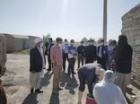 مانور پیشگیری از بیماری هاری در شهرستان زابل اجراشد