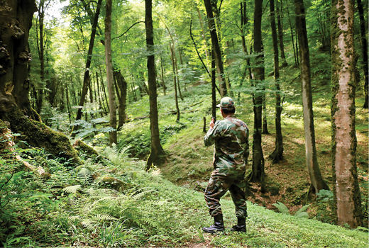 حفاظت از منابع طبیعی تعطیل‌پذیر نیست