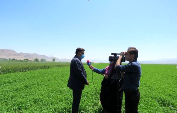 اجرای طرح آبیاری تحت فشار در سطح 3200 هکتار از اراضی کشاورزی شهرستان مانه و سملقان