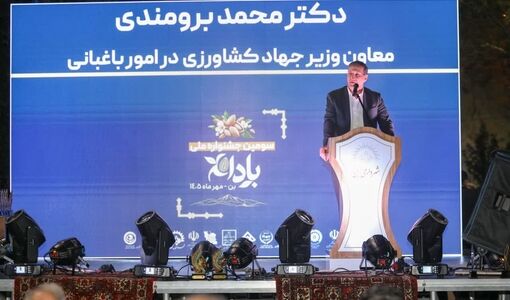  سالانه ۲۰۰ هزار تن بادام از ایران به هند صادر می‌شود