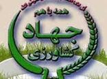 برگزاری جلسه مشاغل خانگی در شهرستان ارزوئیه