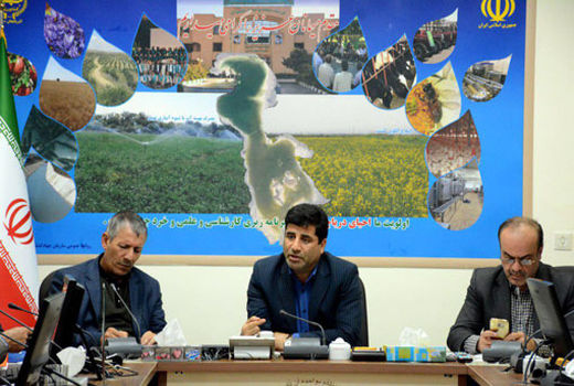 افزایش 46 درصدی صادرات محصولات کشاورزی 