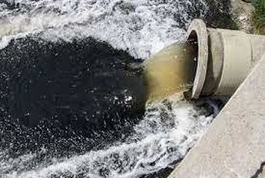 با متخلفین استفاده از فاضلاب در کشاورزی برخورد می شود