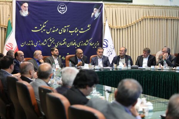 رتبه نخست مازندران در تولید ۱۴ محصول اساسی کشاورزی کشور