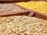 پرداخت مطالبات واردکنندگان، تاب‌آوری بخش خصوصی را افزایش می‌دهد