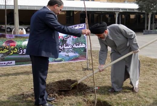 تاکید امام جمعه ارومیه بر ترویج فرهنگ درختکاری در جامعه 
