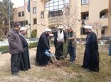 ضرورت ترویج فرهنگ درختکاری و حفاظت از منابع طبیعی