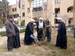 ضرورت ترویج فرهنگ درختکاری و حفاظت از منابع طبیعی