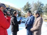 مطلوبیت گندم کردستان ۶۰ درصد افزایش یافته است
