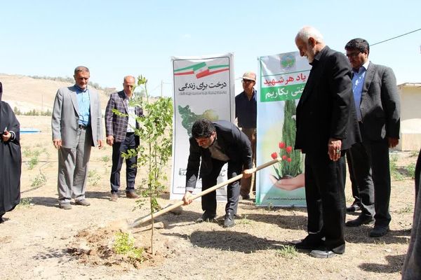 کاشت 124 نهال به یاد شهدای جهادگر و سنگرساز بیسنگر آذربایجان شرقی
